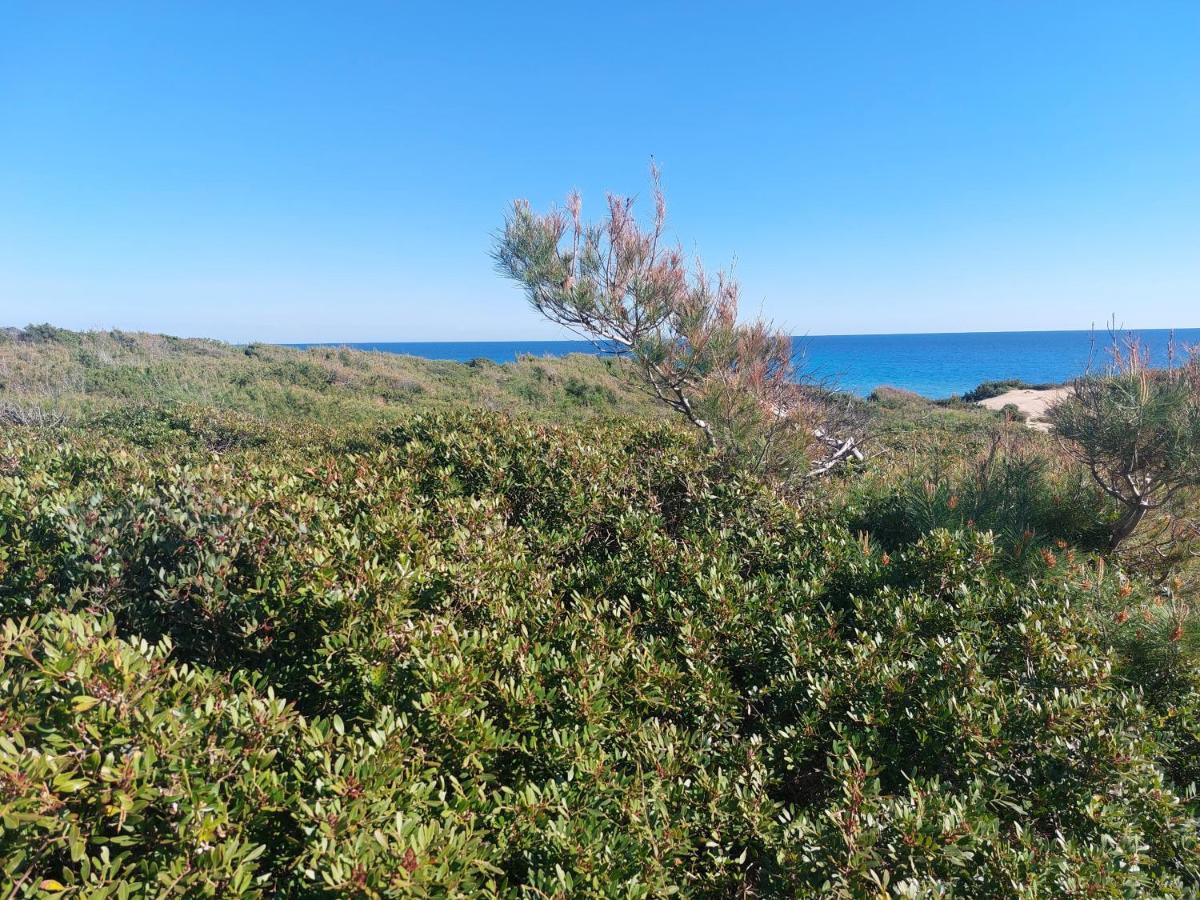 Mimar Casa Vacanze Charme Ed Eleganza Maruggio Dış mekan fotoğraf